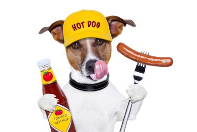 Hotdog - Hot Fly-In